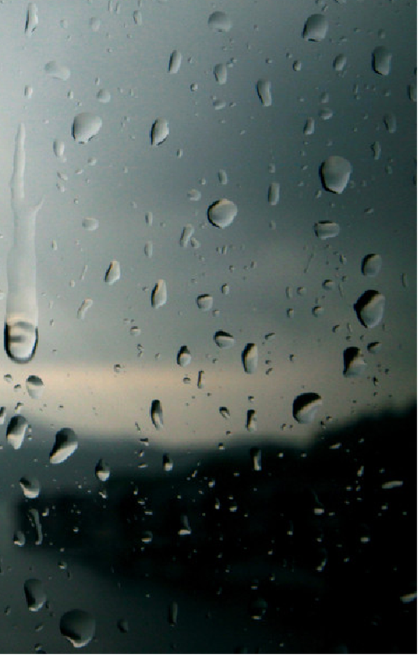 防雨装置1_副本600.png